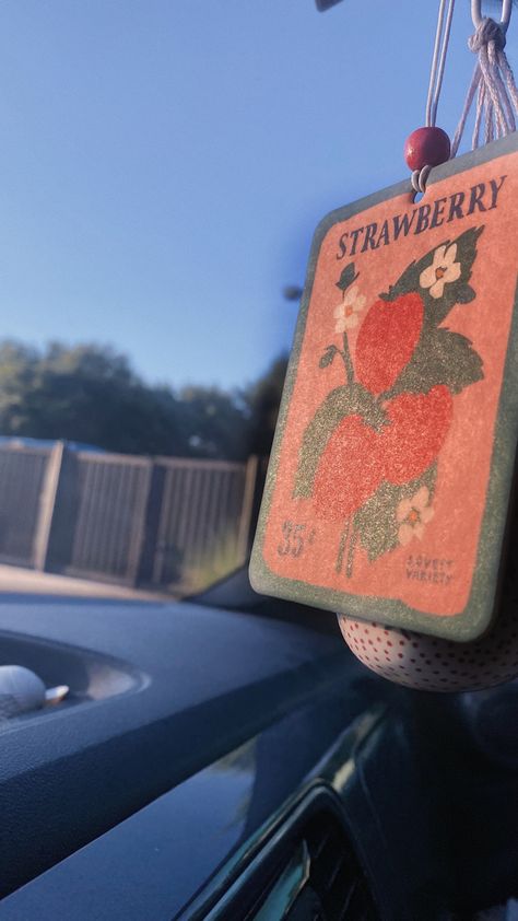 Aesthetic Air Freshener, Car Air Freshener Aesthetic, Air Freshener Car, Cute Car Air Freshener, Car Ornaments, Car Freshener, Car Air Freshener, Christmas List, Car Mirror