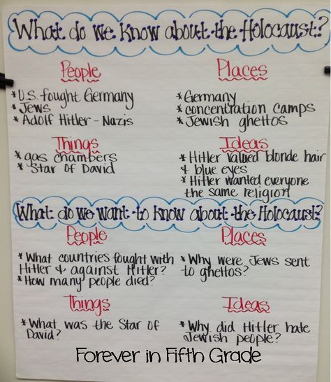 Number The Stars, 6th Grade Reading, Teaching 5th Grade, 5th Grade Social Studies, Social Studies Classroom, 6th Grade Ela, Middle School Reading, 5th Grade Reading, 4th Grade Reading