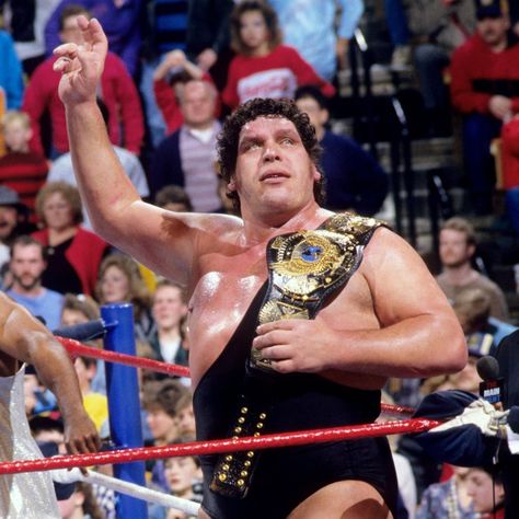 WWF Champion André the Giant Wrestling Pics, Wwf Attitude Era, Pageboy Haircut, Stone Cold Steve Austin, Tna Impact, Andre The Giant, Wonder Of The World, Wwe Legends, Stone Cold Steve