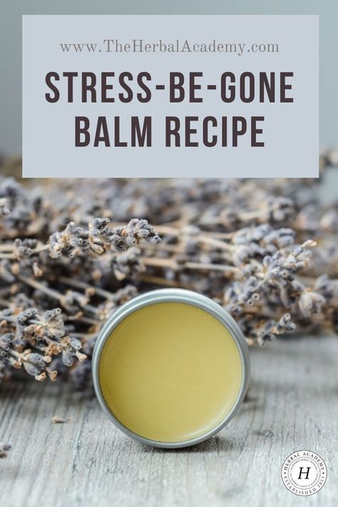 Balm Diy Recipe, Herbal Salve Recipes, Homemade Balm, Homemade Salve, Medicine Recipes, Herbal Academy, Balm Recipe, Magic Potions, Salve Recipes