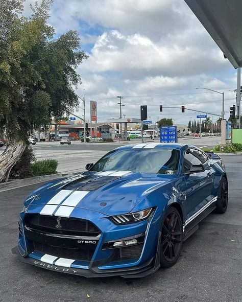 Uber Eats Gift Card, Fort Mustang, Mustang Shelby Gt 500, Blue Mustang, Car Obsession, Shelby Gt 500, Ford Mustang Shelby Gt, Mustang Car, Gt 500