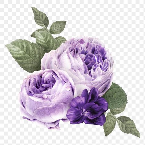 Purple Flower Illustration, Purple Flowers Aesthetic, Pop Up Flower Cards, Purple Png, Purple Flower Bouquet, Wreath Clip Art, Light Purple Flowers, Rose Watercolor, Moss Rose