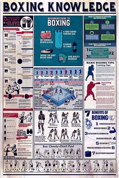 Boxing Anatomy, Boxing Knowledge, Workout Girly, Boxing Training Workout, Boxing Techniques, Boxing Drills, Boxing Bags, Martial Arts Techniques, Martial Arts Styles