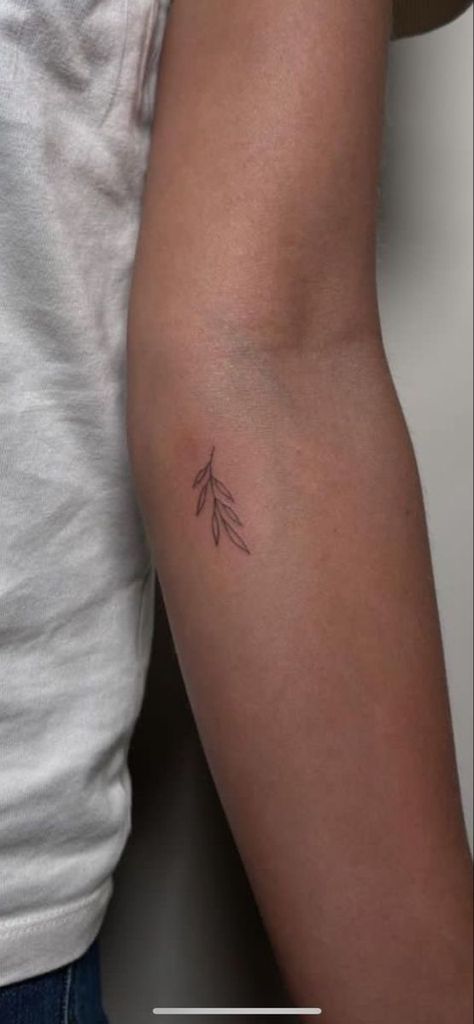 Tiny Tattoos Inner Arm, Olive Branch Shoulder Tattoos For Women, Tiny Tattoos Arm Women, Dainty Branch Tattoo, Tiny Earthy Tattoos, Earthy Fine Line Tattoo, Inner Arm Small Tattoo, Inner Tricep Tattoo Women, Dainty Leaves Tattoo