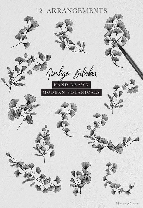 #etsy shop: GINKGO Biloba Bouquet: Botanical Floral Arrangements / Ginkgo ClipArt / Wedding Invitation / Black Lines / Leaves / Wall Art Clipart /B23-01 https://etsy.me/2V3syLv #art #print #digital #ginkgo #lineart #rsvp #botanicals #wedding #invite #diy #leaves #clipart Ginko Biloba Tattoo, Ginkgo Leaf Tattoo Color, Ginkgo Line Art, Ginko Leaf Tattoos Design, Ginkgo Biloba Leaf Watercolor, Ginkgo Botanical Illustration, Ginkgo Biloba, Design Set, Black Wedding Invitations