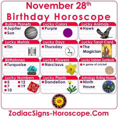 November 28 Zodiac – Accurate Birthday Personality Horoscope | ZSH November Zodiac Sign, October Scorpio, December Zodiac Sign, Lucky Things, November Horoscope, December Horoscope, Astrology Dates, October Horoscope, Birthday Personality