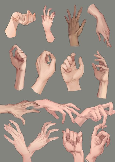 Hand Drawing Reference, Anatomy Sketches, Hand Reference, Anatomy Drawing, Digital Painting Tutorials, Body Drawing, Anime Drawings Tutorials, Hand Art Drawing, Anatomy Art