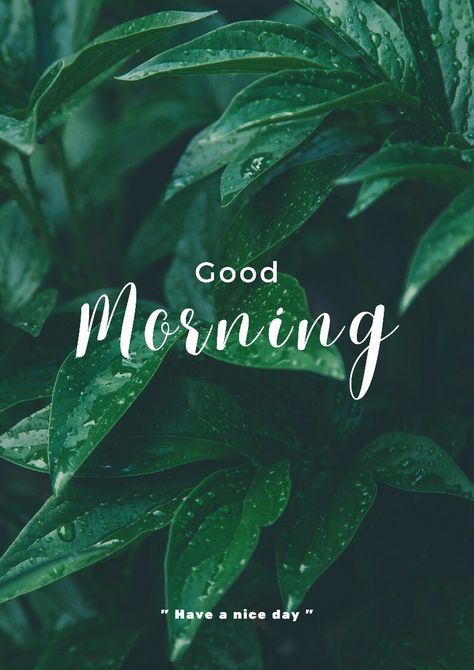 Good Morning Asthetic Wishes, Good Morning Photography, Good Morning Videos, Good Morning Aesthetic, Green Morning, Morning Massage, Good Morning Pics, Good Morning Massage, Create Your Own Sunshine