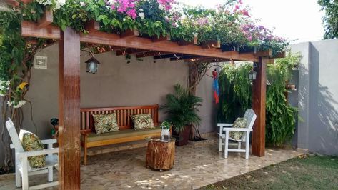 Outdoor Patio Roof Ideas, Outdoor Patio Roof, Patio Roof Ideas, Roof Ideas, Side Yard Landscaping, Backyard Garden Layout, Bay Tree, Terrace Garden Design, Terrace Decor