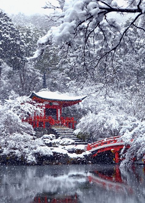 Japanese Winter, Winter In Japan, Japan Winter, Winter Gardens, Japanese Shrine, Japan Landscape, Japan Photography, Japan Aesthetic, Winter Scenery