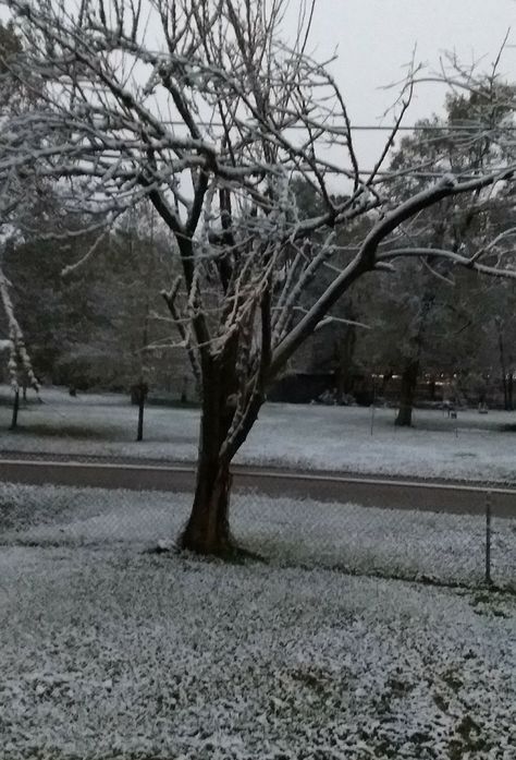 I woke up in a winter wonderland! Houston Texas. Texas Winter Aesthetic, Winter In Texas, Texas Winter, Loving Texas, Best Seasons, Winter Aesthetic, Houston Texas, Winter Time, Four Seasons