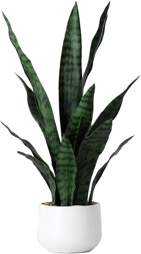 Artificial Indoor Plants, Garden Wind Spinners, Store Decoration, Sansevieria Plant, Artificial Plants Indoor, Desk Plants, Office Store, Fake Succulents, Plastic Planters