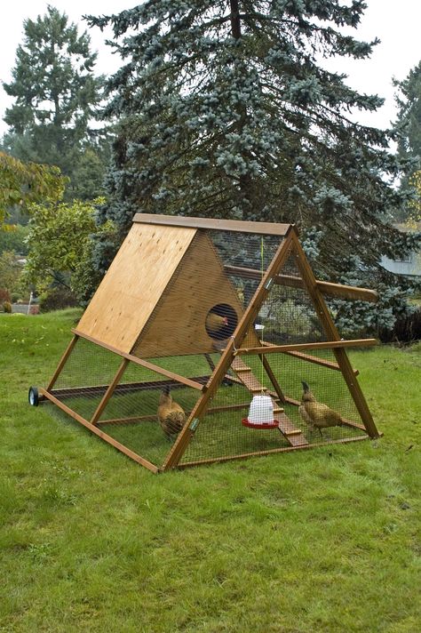 You can find plans for this truly portable and chicken-friendly chicken tractor in the book 40 Projects for Building Your Backyard Homestead. Moveable Chicken Coop, Duck House Plans, Chicken Coop And Run, Coop And Run, Wooden Chicken, Duck Coop, Poultry House, Duck House, Small Chicken