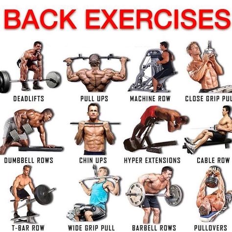 BEST BACK EXERCISES . . 3 reasons why you should workout your back . Strong lats give your... Exercises For Back, Good Back Workouts, Gym Antrenmanları, Fails Funny, Compound Exercises, Gym Tips, Weight Training Workouts, Workout Inspiration, Workout Chart