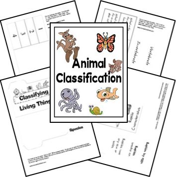 FREE Printable Animal Classification Lapbook | Homeschool Giveaways Animal Types, Classroom Corner, Folder Activities, Lap Books, Lap Book, Animal Classification, 1st Grade Science, Speech Ideas, Classical Education