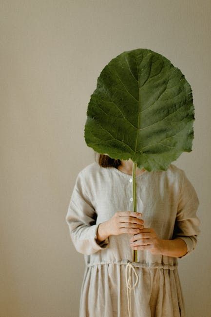 Minimal Photo, Plant Photography, Foto Art, Plant Lady, Photoshop Lightroom, Food Styling, Outfits Aesthetic, Body Positivity, Photography Inspiration