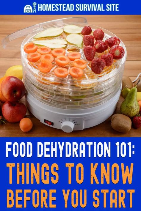 Food For Emergencies, Dehydrating Food Storage, Food Dehydration, Dehydrated Fruit, Baking Basics, Urban Survival, Emergency Food, Dehydrated Food, Food Preservation