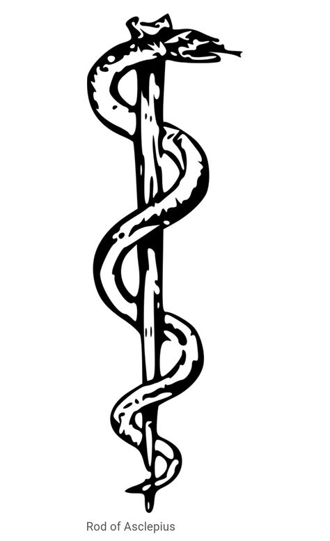 The Rod of Asclepius and greek god staff ⚕ Asclepius Tattoo, Ancient Greek Symbols, Rod Of Asclepius, Rod And Staff, Caduceus Symbol, Tattoo Diy, Medical Tattoo, Greek Symbol, Greek Mythology Tattoos