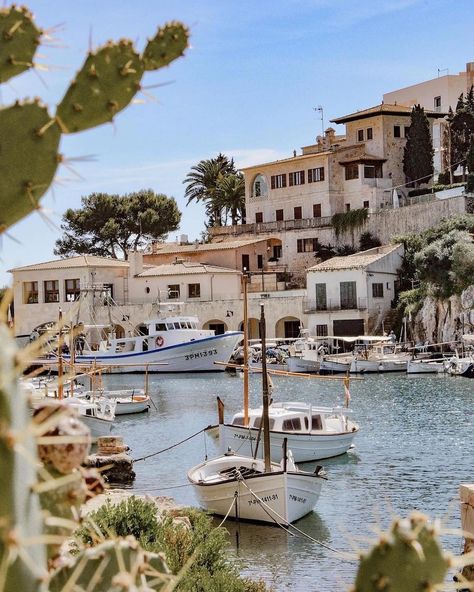 From the bustling streets of Palma to the serene coves along the coastline, Mallorca offers diverse experiences for travelers seeking relaxation, adventure, and cultural immersion. Whether indulging in delicious seafood, exploring ancient ruins, or lounging on pristine beaches, Mallorcan summers promise unforgettable moments amidst the beauty of the Balearic Islands. 📸 @julifrommallorca #SoVirtuoso #VirtuosoTravel Mallorca Aesthetic, Romanticing Life, Mallorca Island, Balearic Islands, London Street, Ancient Ruins, Europe Travel, Places To Travel, Trip Advisor