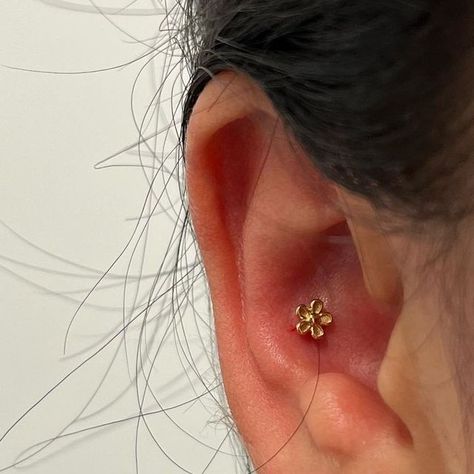 Cute Conch Piercing Studs, Small Conch Piercing, Conch Piercings Ear, Daith Stud Piercing, Crunch Piercing, Ear Conch Piercings, Dainty Conch Piercing, Piercing Oreille Conch, Conch Stud Jewelry