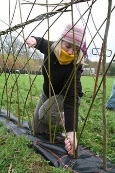 Living Willow Fence, Willow Dome, Cerca Natural, Willow Fence, Willow Garden, Living Willow, Play Structures, Rustic Fence, Natural Fence