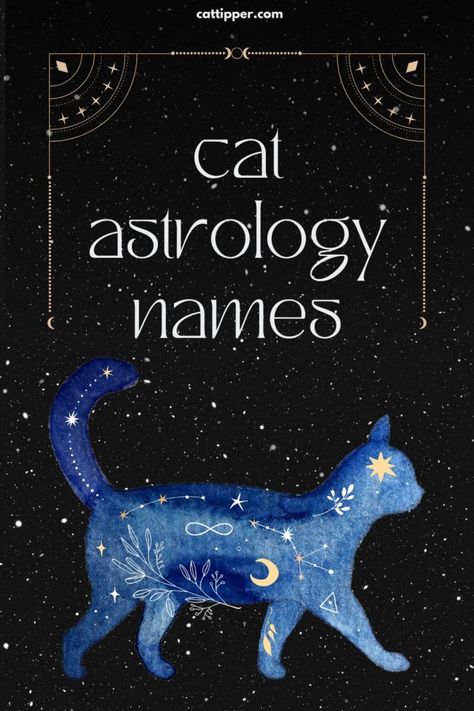 Cat Names Witchy, Magical Cat Names, Cat Name Ideas Unique, Witchy Pet Names, Witch Cat Names, Mystical Names Male, Mystical Names And Meanings, Black Cat Names Female, Astrological Names