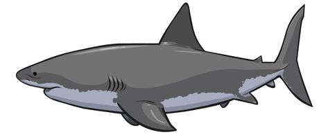 Shark Emoji Png, Shark Animation, Animated Shark Drawing, Silly Shark Gif, Animated Shark, Transparent Shark Png, Shark Gif, Swimming Gif, Fish Gif