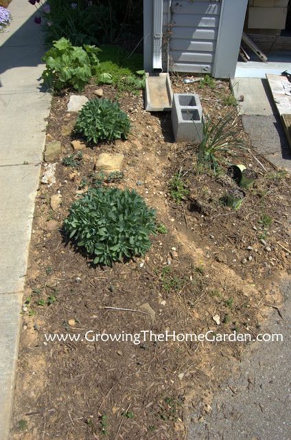 Garden Stepping Stones Diy, Sedum Garden, Sedum Plant, Dry Creek Bed, Dry River, Garden Stepping Stones, Plant Propagation, Creek Bed, River Bed