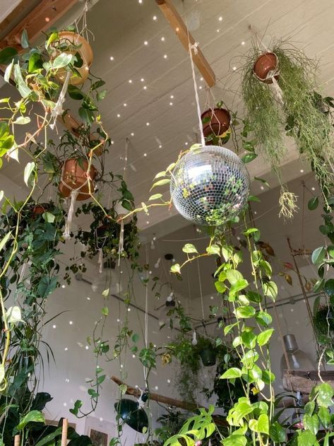 Disco Green Aesthetic, Disco Bedroom Aesthetic, Window Home Office, Party Garden Decoration, Colorful Crystals, Party Garden, Plant Aesthetic, Room With Plants, Dream Apartment