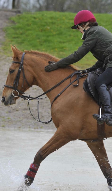 Loce my bond with this horse #equestrian #horseriding #crosscountry #eventing Chestnut Horse, Show Jumping, Cross Country, Horse Rider, Chestnut, Equestrian, Horses