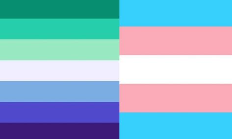 Gender Fluid Wallpaper, Lgbt Flag Colors, Trans Pride Flag, Bee Free, Gender Flags, Trans Flag, Gay Flag, Gay Pride Flag, My Personality