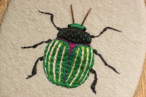 Bugs Embroidery, Embroider Ideas, Needlework Embroidery, Embroidery On Clothes, Sewing Embroidery Designs, Hand Embroidery Art, Hand Embroidery Patterns, Embroidery Inspiration, Hand Embroidery Designs