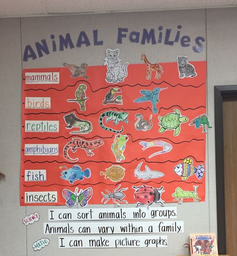 Animal Families Preschool Activities, Animal Family Preschool Activities, Classification Project Ideas, Animal Families Preschool, Animal Habitat Craft, Animal Grouping Activities, Animal Classification Preschool, Animals Science Activities, Animal Classification Project