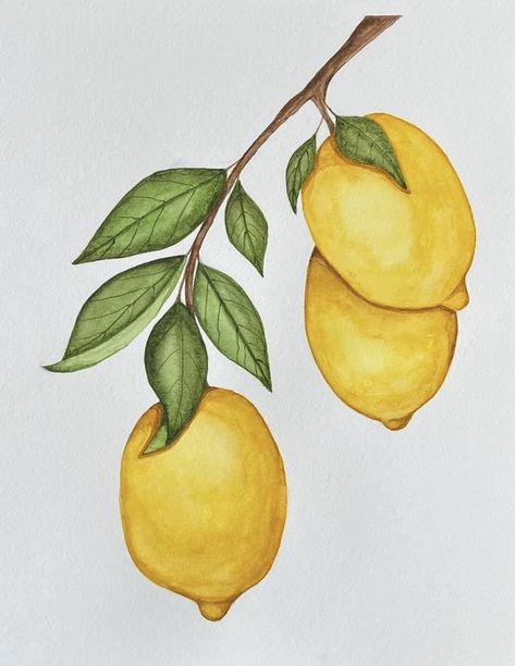 Lemon Tree Drawing Simple, How To Draw A Lemon Tree, Drawings Of Lemons, Fruit Drawings Aesthetic, Lemon Art Drawing, How To Draw Lemons, Watercolor Lemon Paintings, Lemon Pencil Drawing, Easy Lemon Painting