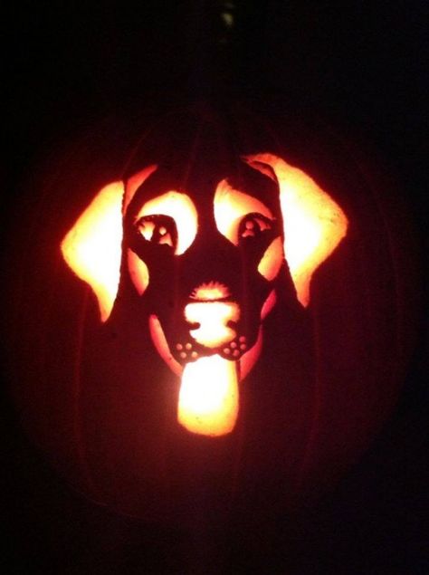 How to carve a pumpkin to look like your dog Dog Pumpkin Carving, Pumpkin Carving Games, Pumpkin Carving Tips, Printable Pumpkin Stencils, Cute Pumpkin Carving, Free Stencils Printables, Pumkin Carving, Halloween Pumpkin Carving Stencils, Dog Pumpkin