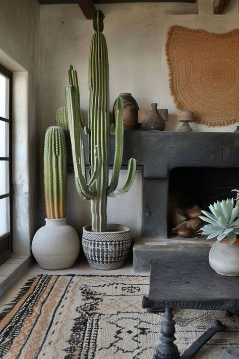 Cactus Inside House, Cactus In Living Room, Cactus Indoor Plant, Cactus Interior Design, Cactus Living Room, Indoor Cactus Garden, Cactus Aesthetic, Desert Home Decor, Indoor Cactus Plants