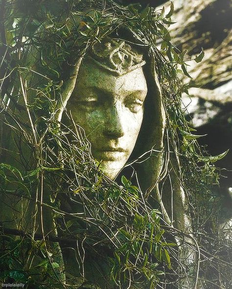 Statue of a face covered with vines John Howe, Thranduil, Legolas, Neil Gaiman, Drawing Set, J R R Tolkien, The Lord Of The Rings, Dragon Age, The Elf