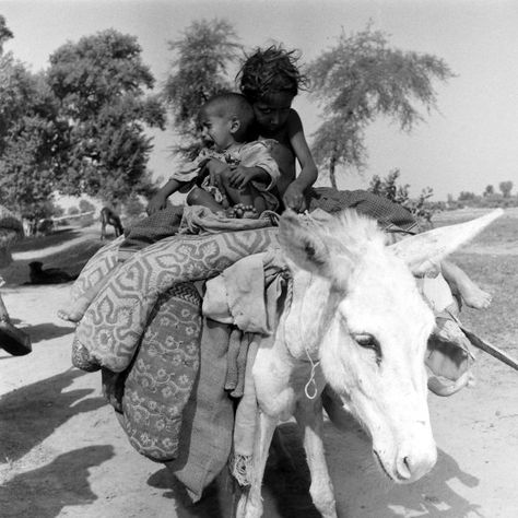 Partition Of India, Invisible Women, Margaret Bourke White, Modern Egypt, History Of Pakistan, Indigo Plant, The Great Migration, Invisible Woman, India Independence