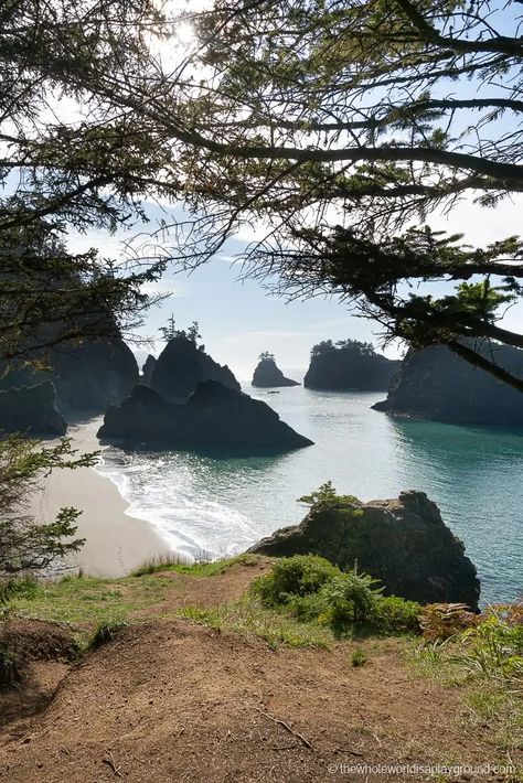 Gleneden Beach Oregon, Secret Beach Oregon, Oceanside Oregon, Honeymoon Aesthetic, Rockaway Beach Oregon, Oregon Coast Roadtrip, Oregon Aesthetic, Oregon Camping, Oregon Nature