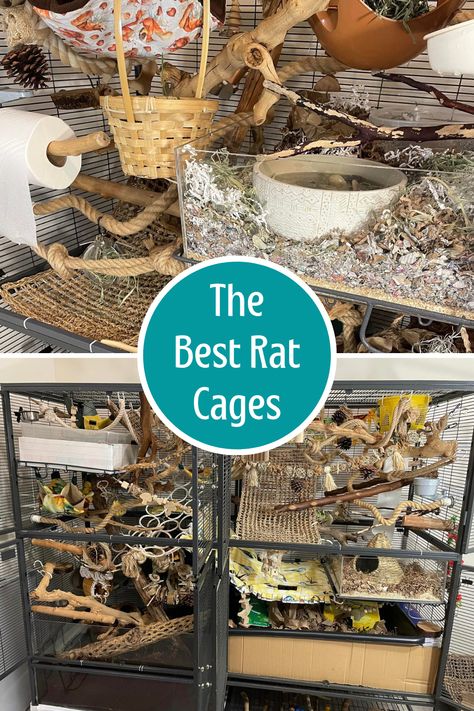 Rat Cage Ideas Diy How To Make, Cool Rat Cages, Pet Rat Cages Aesthetic, Pet Rat Cage Setup, Rat Cages Diy, Pet Rat Enclosures, Fancy Rat Cage, Rat Cage Inspiration, Rat Cages Ideas