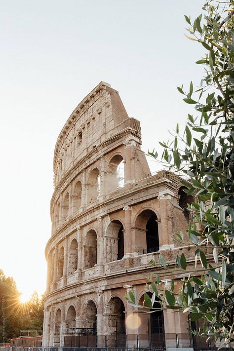 Colleseum Rome, Ancient Rome Aesthetic, Rome Italy Aesthetic, Rome Italy Photography, Malta Italy, 7 World Wonders, Rome Italy Colosseum, Rome Photography, Italy Winter