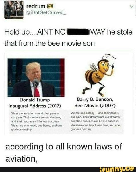 The Bee Movie, Memes Funny Hilarious, Laughing Funny, Bee Movie, Humor Memes, The Bee, Really Funny Memes, Memes Funny, Tumblr Funny