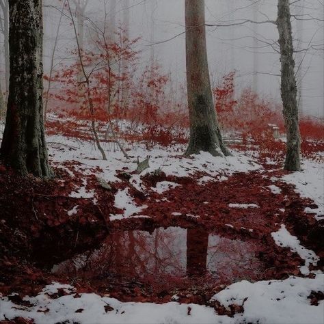 Blood On Snow, Art Bizarre, Blood Art, Dark Photography, Alam Yang Indah, Red Aesthetic, Nature Aesthetic, Horror Art, Dark Aesthetic