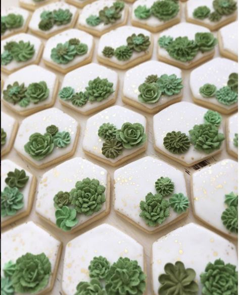 Bridal Shower Cookies Decorated, Succulent Cookies, Ideas For Bridal Shower, Liz Adams, Succulent Cupcakes, Succulent Cake, Bridal Shower Cookies, Spring Bridal Shower, Sugar Cookie Designs