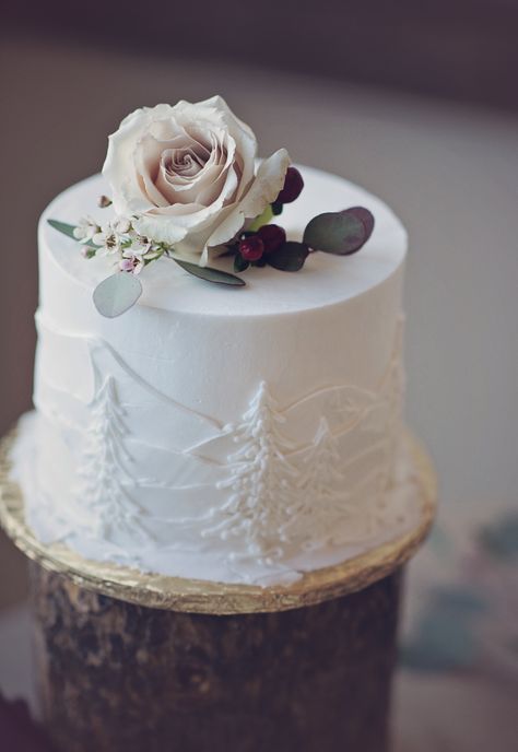 Simple Mountain Wedding Cake, Simple Rustic Wedding Cake, Mountain Wedding Cake, Small Winter Wedding, Simple Rustic Wedding, Mountain Cake, Winter Mountain Wedding, Rainy Summer, Small Wedding Cakes