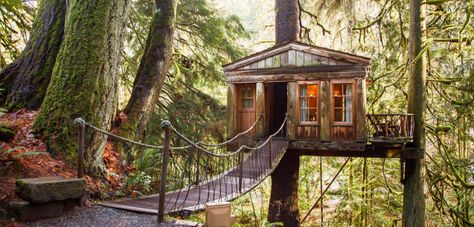 10 Washington State treehouse rentals perfect for a weekend getaway - Curbed Seattle Tree House Hotel, Treehouse Vacations, Communal Bath, Treehouse Airbnb, Treehouse Point, Library Hotel, Nature Houses, Beautiful Tree Houses, Copper House