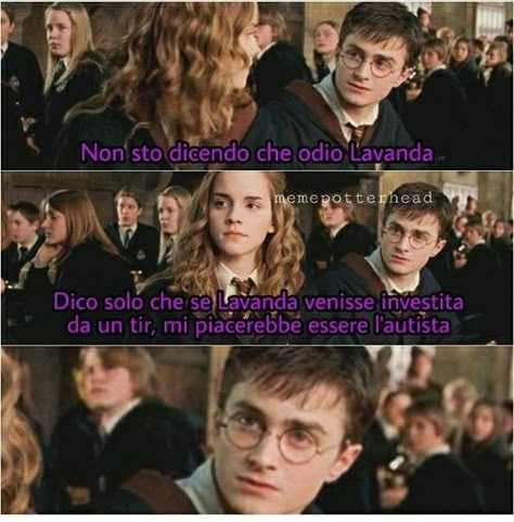 Harry Potter Wattpad, Headcanon Harry Potter, Harry Potter Quiz, Harry Potte, Fred And George Weasley, Harry Potter Tumblr, Funny Photo, Harry James, Harry James Potter