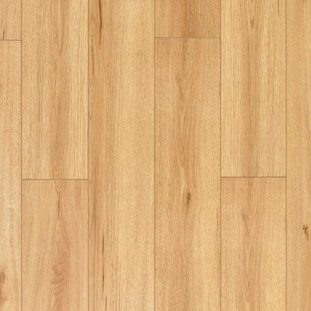 Shields Maple Waterproof Laminate Maple Floors Living Room, Blonde Laminate Flooring, Maple Laminate Flooring, Indoor Porch, Waterproof Wood, Waterproof Laminate Flooring, Three Season Room, How To Waterproof Wood, Laminate Colours