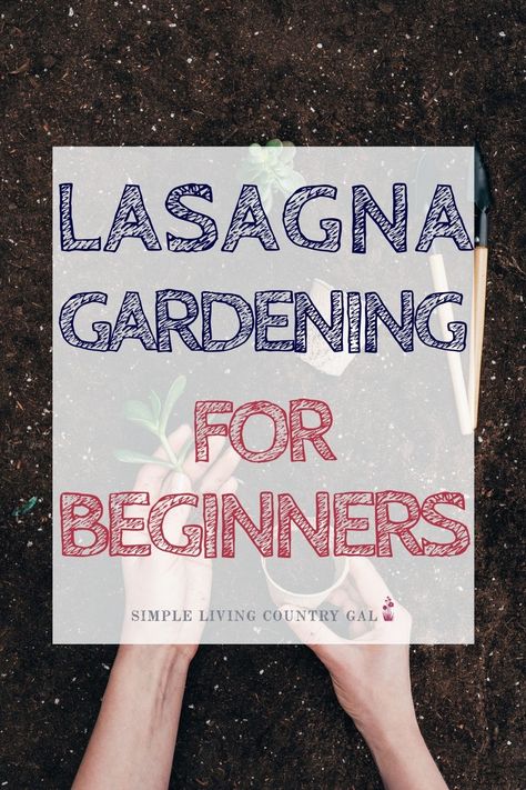 Lasagna Raised Garden Bed, Lasagna Gardening Layers How To Make, No Till Gardening Raised Beds, How To Till Garden, Lasagna Gardening Layers, How To Layer A Raised Garden Bed, Layered Gardening, No Till Garden Layout, Lasagne Gardening