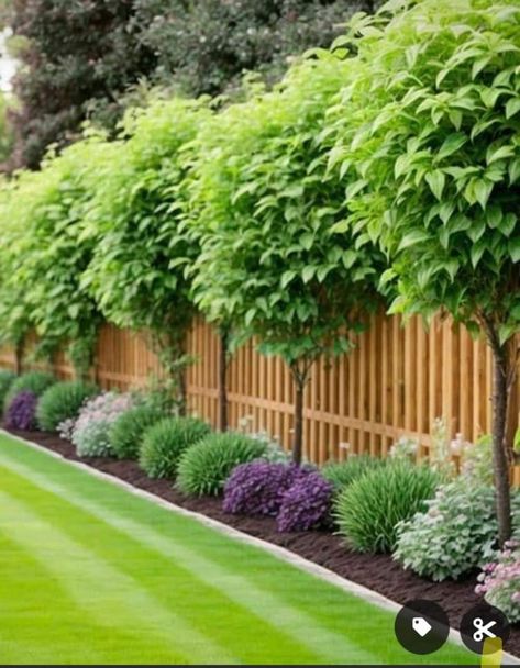 Small Yard Lighting Ideas, Corner House Fence Ideas, Plants On Fence Ideas, Fence Landscape Ideas, Landscaping Privacy Ideas, Backyard Landscaping Along Fence, Fence Gardens, Fence Gardening, Paint Fence